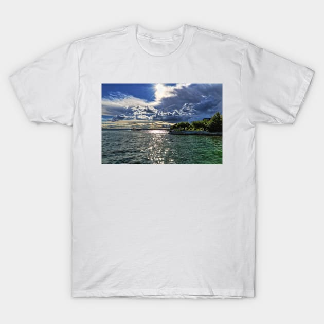 Lake Constance Upcoming Thunder Storm T-Shirt by holgermader